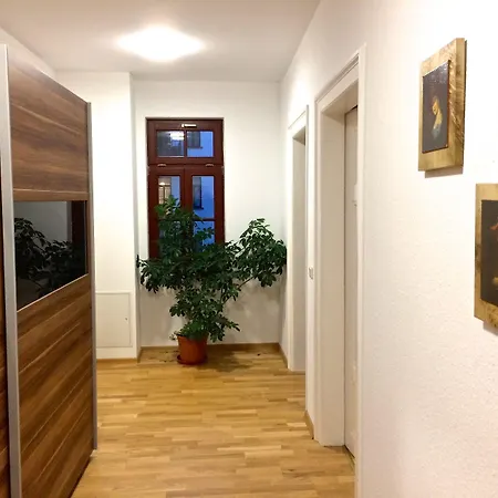 Gwuni Mopera - Boutique 3*