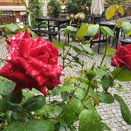 Gwuni Mopera - Boutique Im Zentrum Nahe Oper Und Gewandhaus Aparthotel
